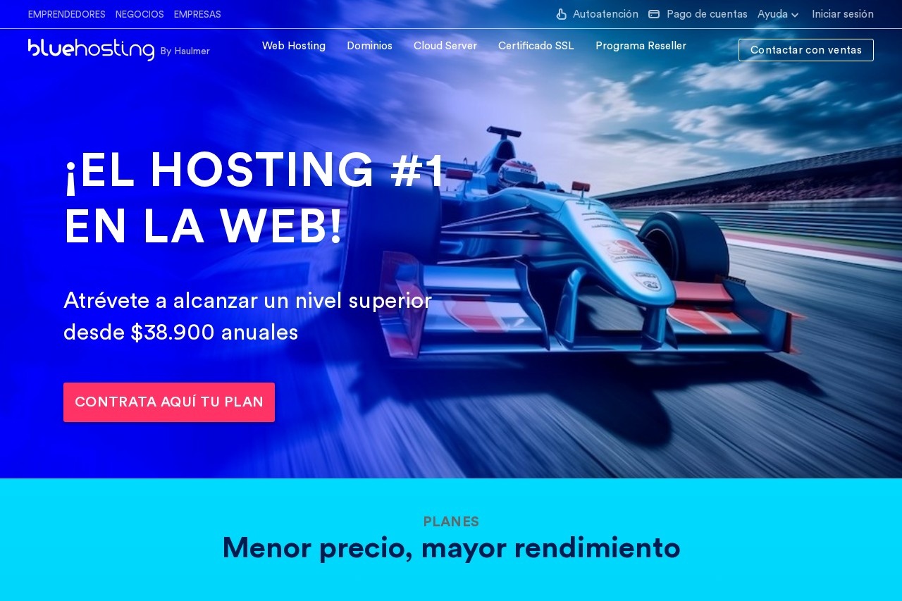 BlueHosting